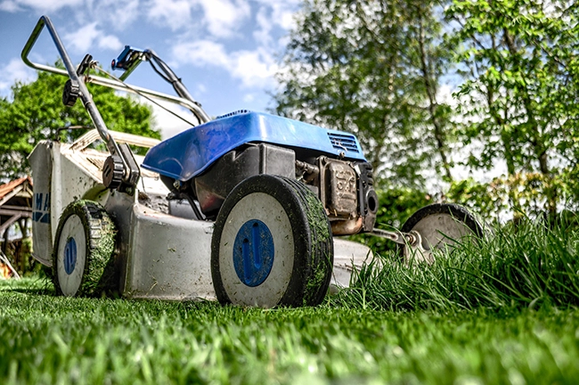 Leistungen Daniels Gartenwerk